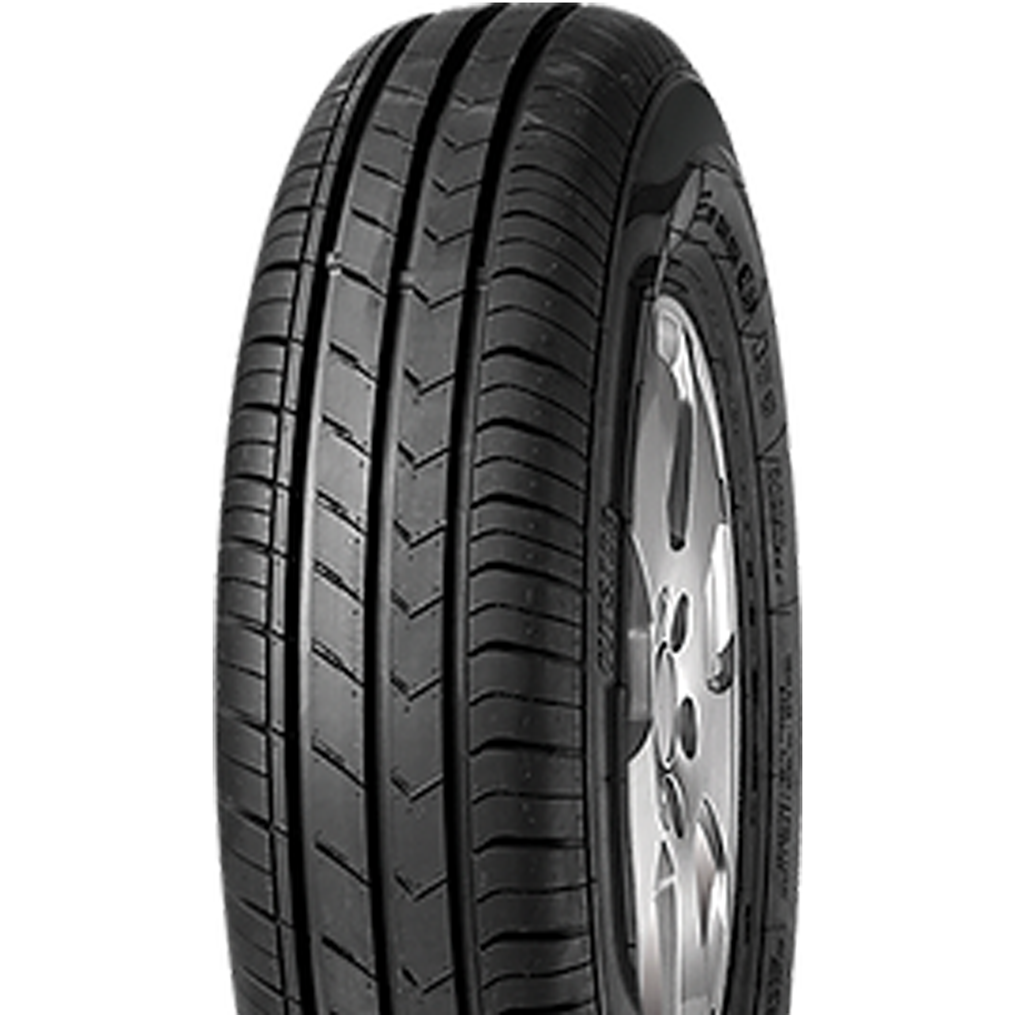 FORTUNA ECOPLUS HP 205/55 R16 91V – Herstellerbild Vollansicht