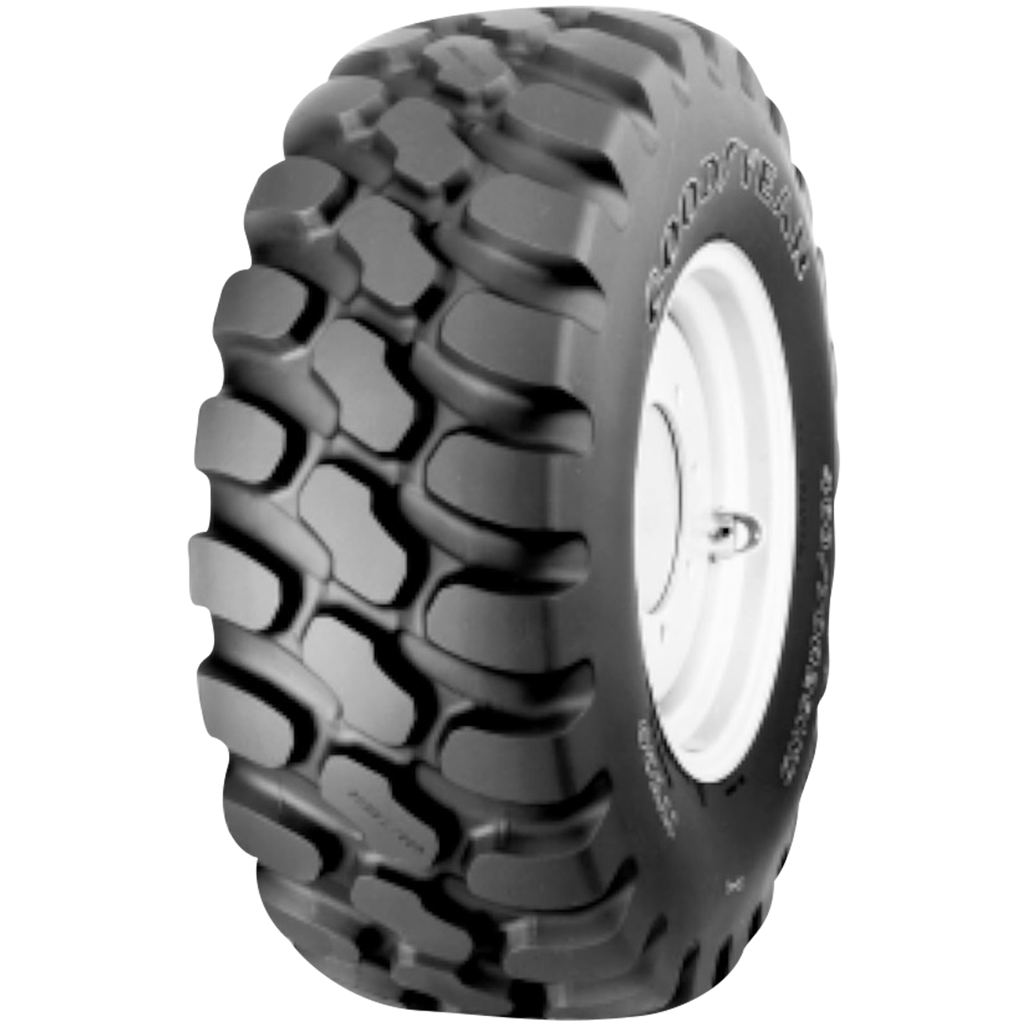 FORTUNE FSR801 165/65 R13 77T – Herstellerbild Vollansicht